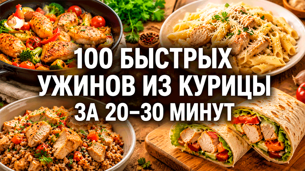 Все про кур несушек